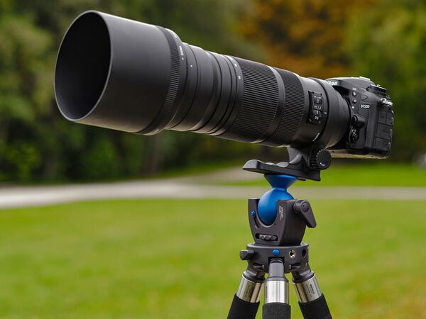 Novoflex MagicBall FREE 50 