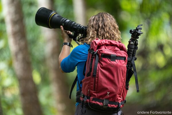 Nya-Evo Rucksack Fjord 60-C Action Pack Econyl  60 Liter Pine Green