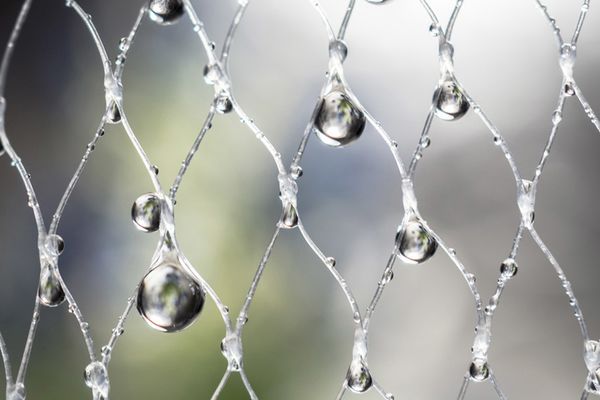 Olympus M.Zuiko AF 30mm f/3,5 ED  Micro Four Thirds