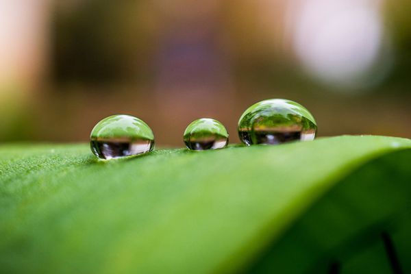 Olympus M.Zuiko AF 30mm f/3,5 ED  Micro Four Thirds