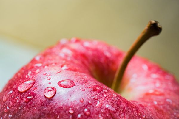 Olympus M.Zuiko AF 30mm f/3,5 ED  Micro Four Thirds