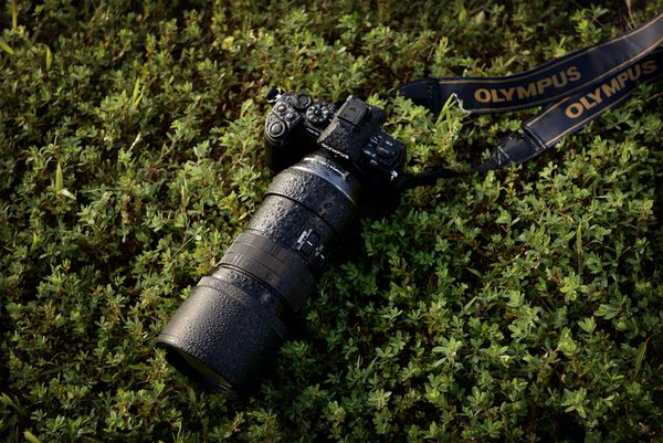 Olympus M.Zuiko AF 300mm f/4,0 IS ED Pro  Micro Four Thirds