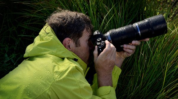 Olympus M.Zuiko AF 300mm f/4,0 IS ED Pro  Micro Four Thirds