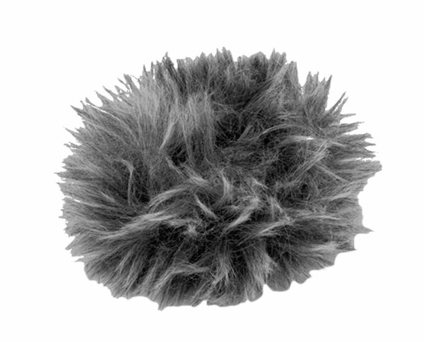 Olympus WJ-2 Wind Jammer für LS-P1/P2 