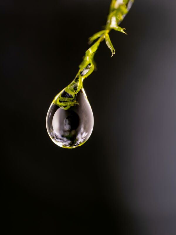 OM SYSTEM M.Zuiko AF 90mm f/3,5 ED Makro IS PRO  MFT