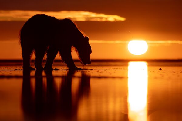 OM SYSTEM M.Zuiko Digital ED 50-200mm f/2,8 IS PRO  Micro Four Thirds