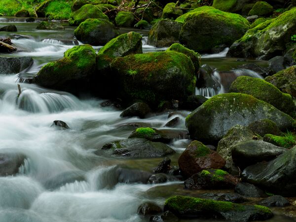 OM SYSTEM M.Zuiko Digital ED 50-200mm f/2,8 IS PRO  Micro Four Thirds