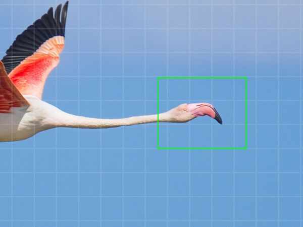 OM SYSTEM OM-1 II Gehäuse 