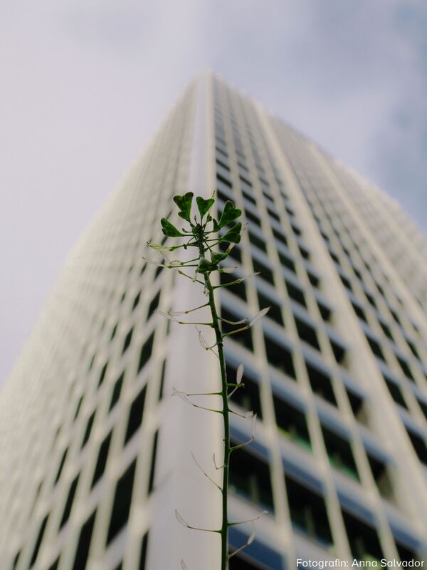 OM SYSTEM OM-3 Gehäuse 