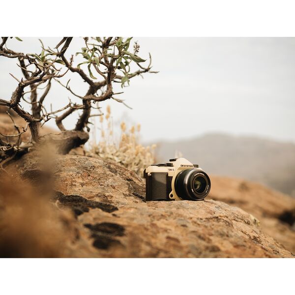 OM SYSTEM OM-5 II Gehäuse  sand-beige