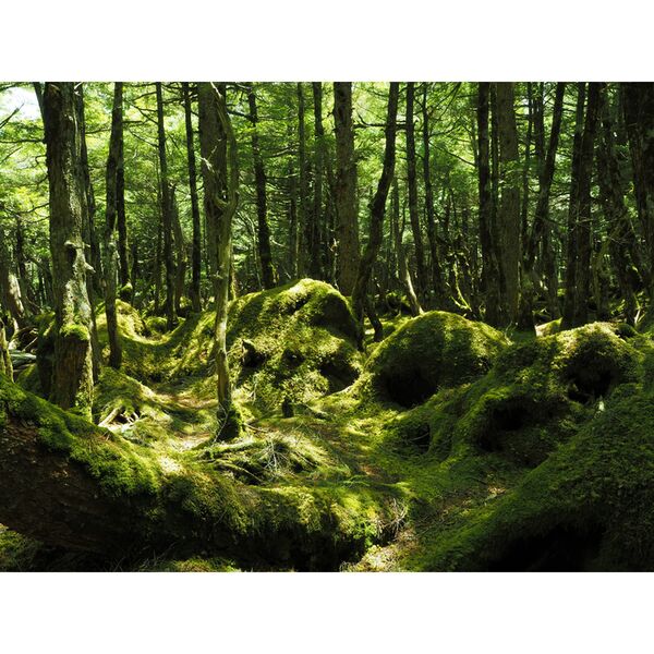 OM SYSTEM OM-5 II Gehäuse  schwarz