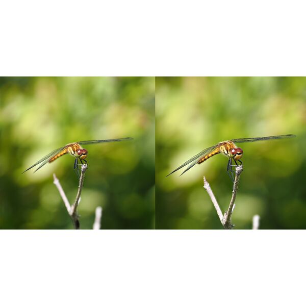 OM SYSTEM OM-5 II Gehäuse  schwarz