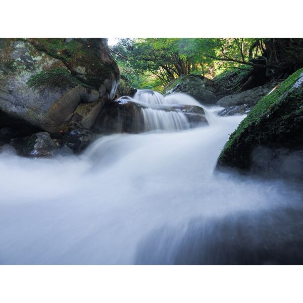 OM SYSTEM OM-5 II Gehäuse  schwarz