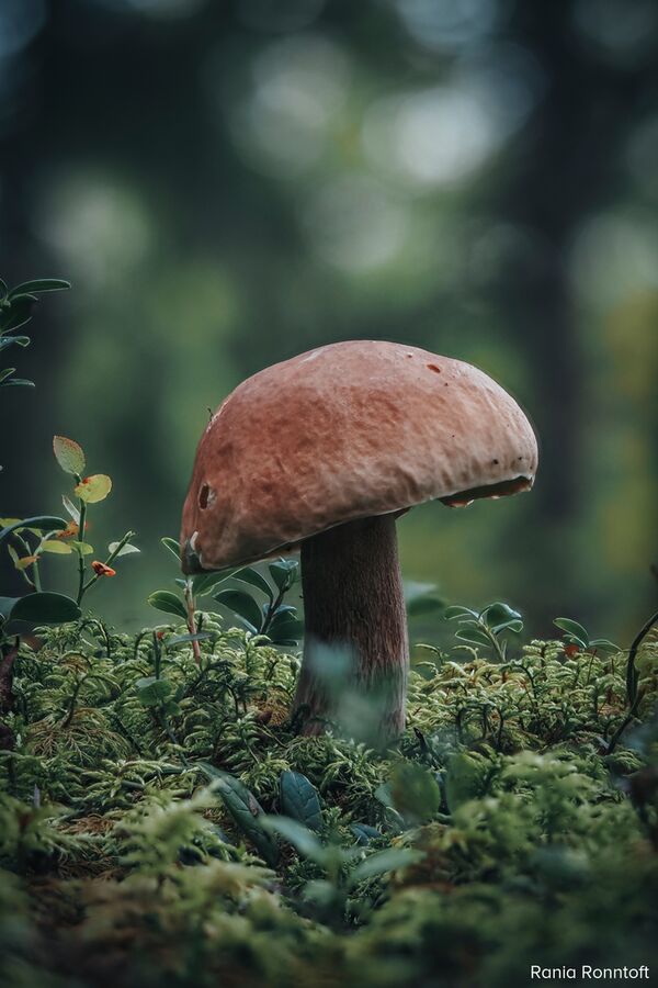 OM SYSTEM OM-5 + M.Zuiko AF 12-45mm f/4 Pro ED - Retourenware -  silber