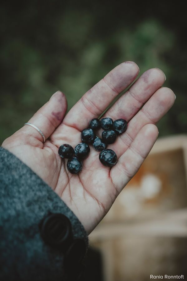 OM SYSTEM OM-5 + M.Zuiko AF 12-45mm f/4 Pro ED - Retourenware -  silber