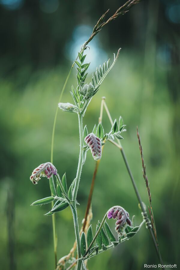 OM SYSTEM OM-5 + M.Zuiko AF 12-45mm f/4 Pro ED  silber