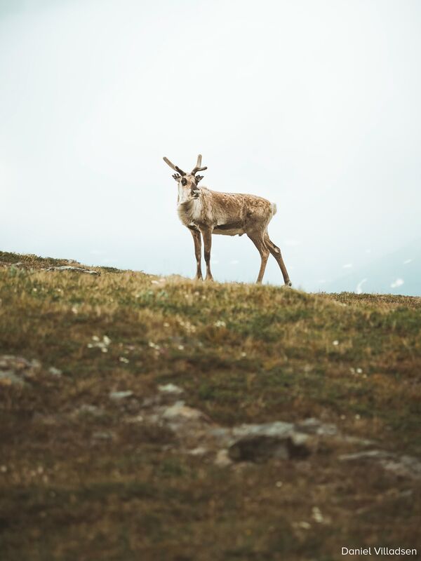 OM SYSTEM OM-5 + M.Zuiko AF 12-45mm f/4 Pro ED  silber
