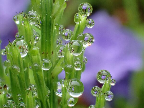 OM SYSTEM TG-7  schwarz Standard