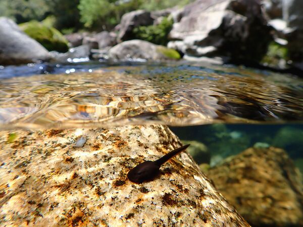 OM SYSTEM TG-7  schwarz Standard