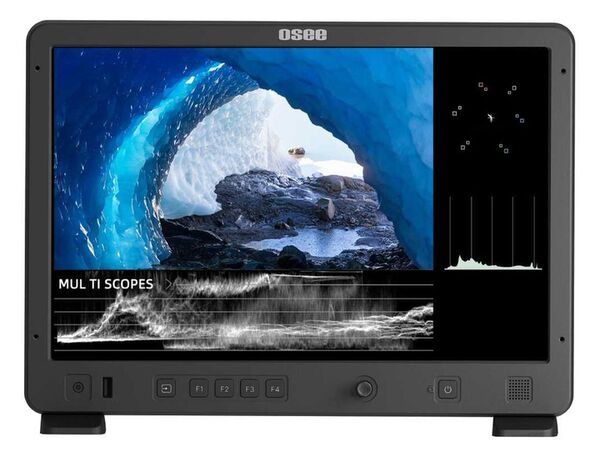 Osee Field Monitor Mega 15s 