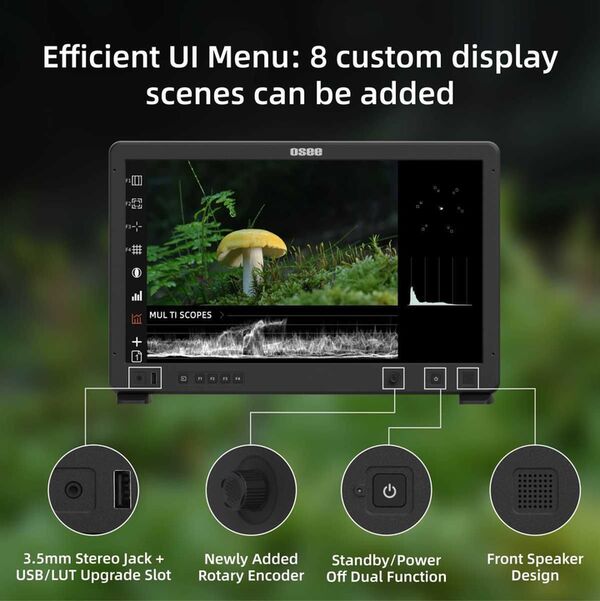 Osee Field Monitor Mega 22s 