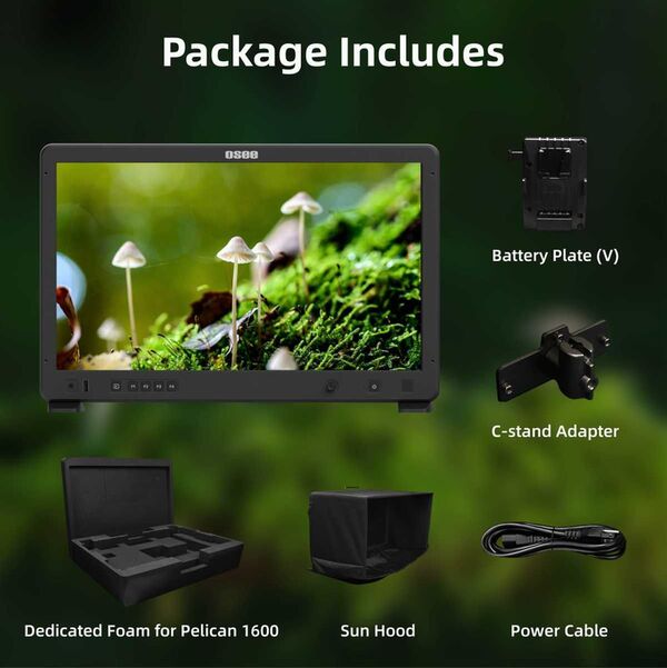 Osee Field Monitor Mega 22s 