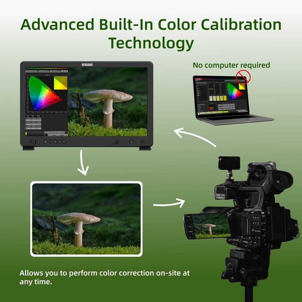 Osee Field Monitor Mega 22s 