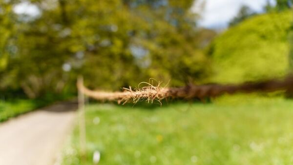 Panasonic Lumix DC-S1II + Sigma 24-70mm f/2,8 DG DN II Art 