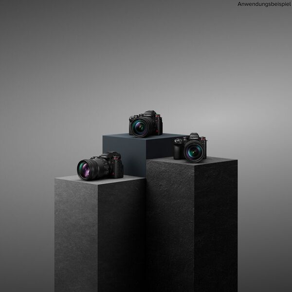 Panasonic Lumix DC-S1II + Sigma 24-70mm f/2,8 DG DN II Art 