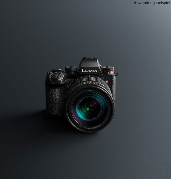 Panasonic Lumix DC-S1II + Sigma 24-70mm f/2,8 DG DN II Art 