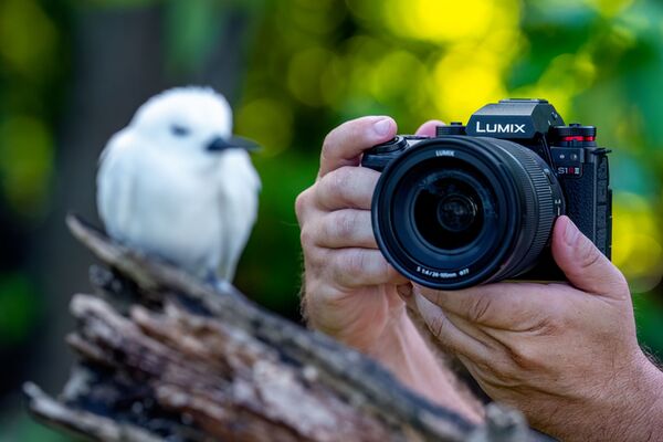 Panasonic Lumix DC-S1RII + DMW-BG 2 