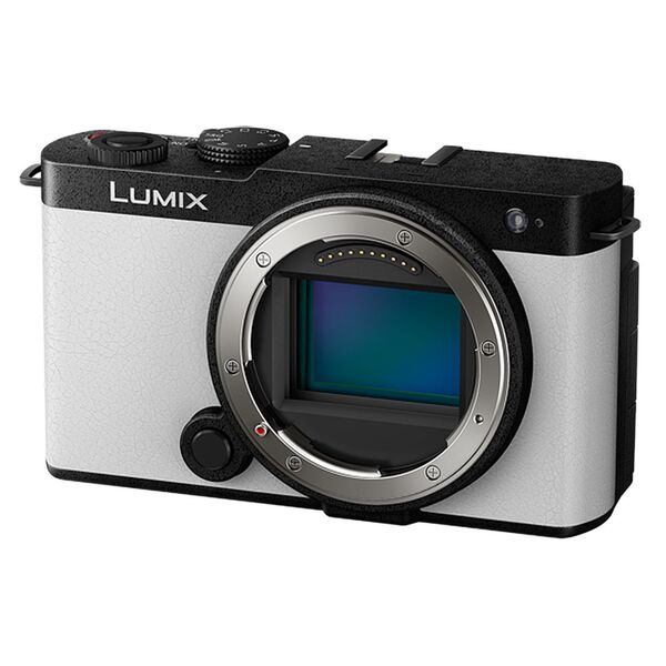 Panasonic Lumix DC-S9  smokey white