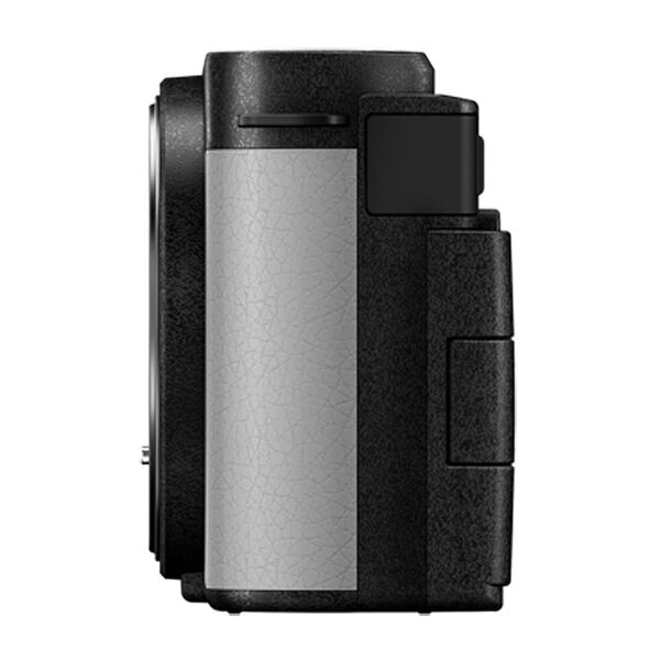 Panasonic Lumix DC-S9  smokey white