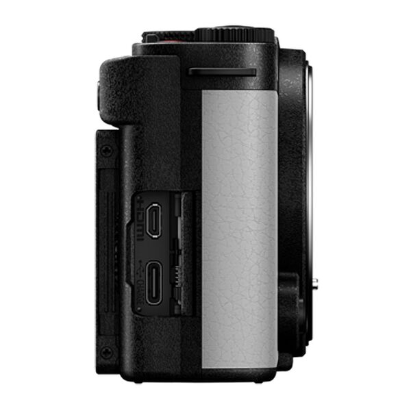 Panasonic Lumix DC-S9  smokey white