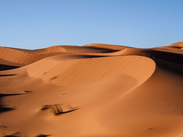 Panasonic Lumix DMC-G97 + AF 14-140mm f/3,5-5,6 OIS II  Micro Four Thirds