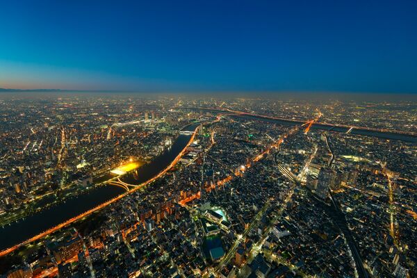 Panasonic Lumix S 14-28mm f/4,0-5.6 MACRO  L-Mount