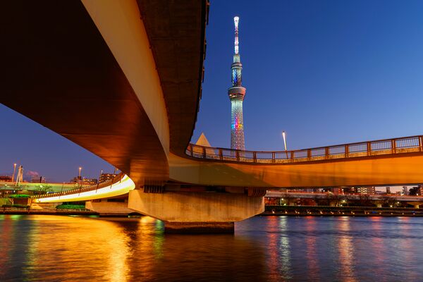 Panasonic Lumix S 14-28mm f/4,0-5.6 MACRO  L-Mount