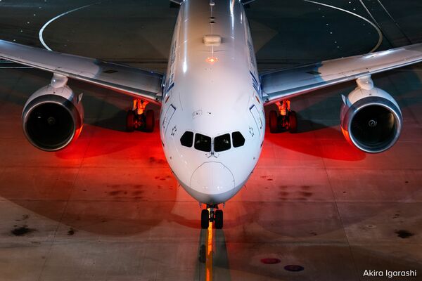 Panasonic Lumix S 70-300mm f/4.5-5.6 Macro O.I.S  L-Mount