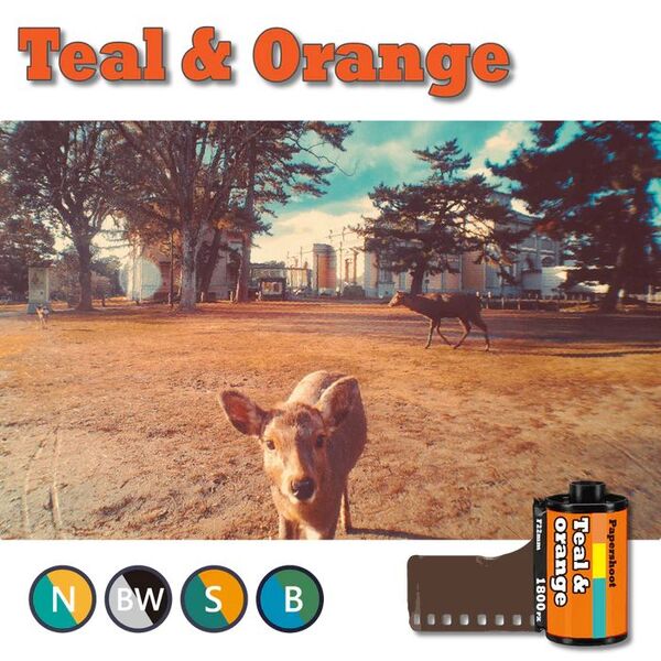 Paper Shoot Filter Card Set - 16 Filters Effects on 4 Cards 