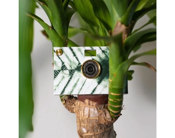 Paper Shoot Zen Paper Case  Matsuba