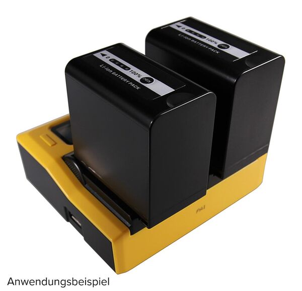 Patona Dual LCD USB Ladegerät für Panasonic  VWVBD29