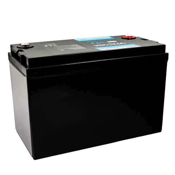 Patona Platinum LiFePO4Akku 24V 50Ah 1200Wh 50.000mAh 