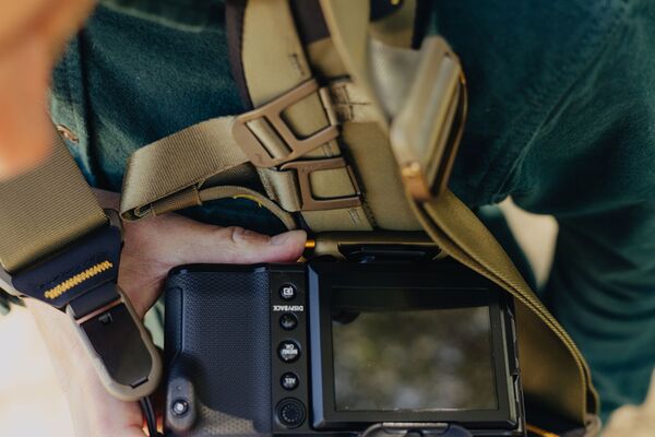 Peak Design Capture Clip V3 mit Arca Wechselplatte  Kelp