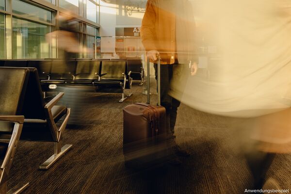 Peak Design Roller Pro Creator Bundle  Eclipse  Rollkoffer + Camera Cube XL