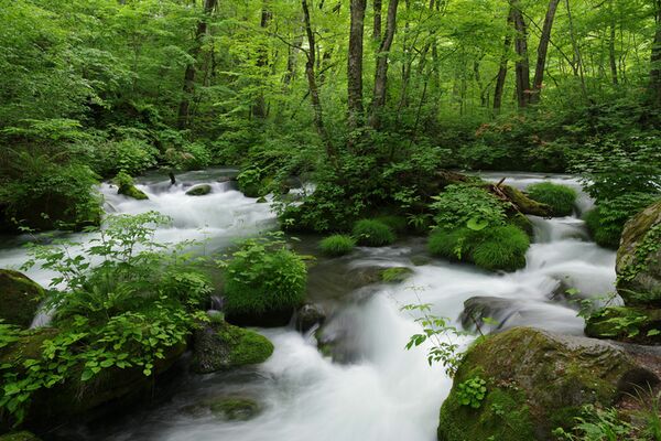 Pentax HD DA 16-50mm f/2,8 ED PLM AW  Pentax K APS-C