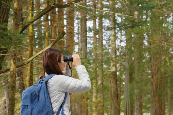 Pentax Jupiter  16x50