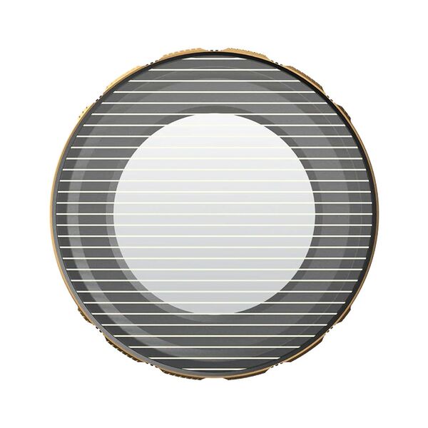 POLARPRO Litechaser iPhone 13 Goldmorphic Filter 