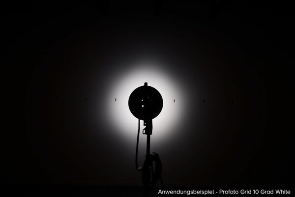 Profoto Grid 10 Grad 180 mm White 