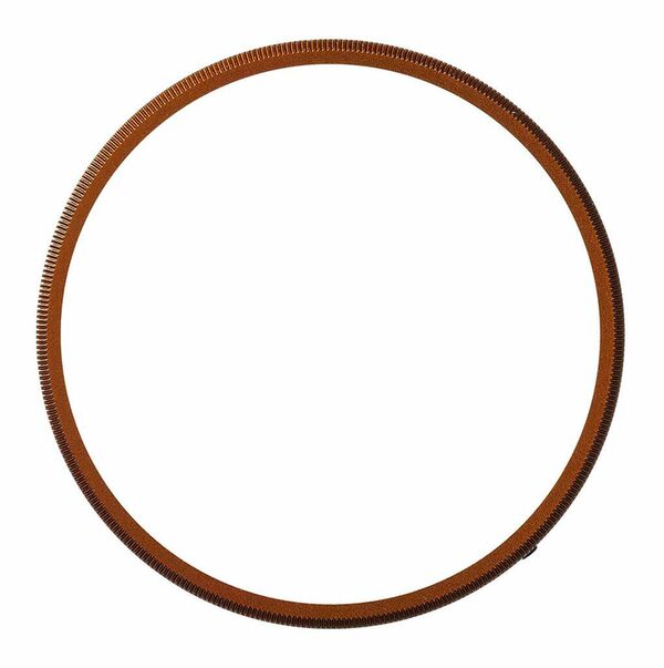 Ricoh Ringkappe GN-2  BZ