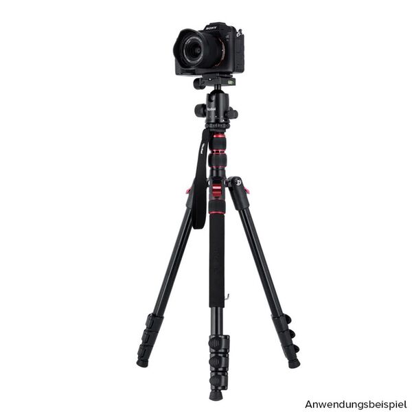 Rollei Compact Traveler No. 2 